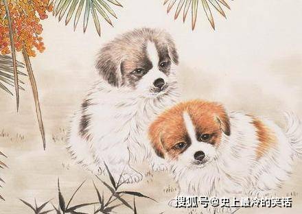 生肖狗今年运势解析，繁荣与机遇并存